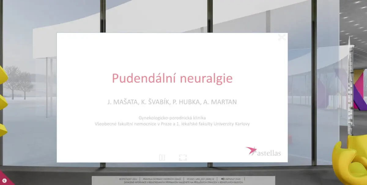 Konferenční přednáška přehrávaná na plátně uvnitř pavilonu: „Pudendální neuralgie" — Mašata, Švabík, Hubka a Martan z Gynekologicko-porodnické kliniky VFN v Praze.